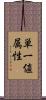 単一値属性 Scroll