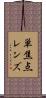 単焦点レンズ Scroll