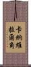 卡納維拉爾角 Scroll