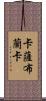 卡薩布蘭卡 Scroll