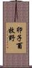 卯子酉牧野 Scroll