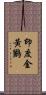 印度金黃鸝 Scroll