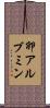 卵アルブミン Scroll