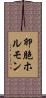 卵胞ホルモン Scroll