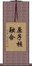 原子核融合 Scroll