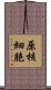 原核細胞 Scroll