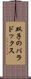 双子のパラドックス Scroll