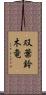 双葉鈴木竜 Scroll