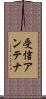 受信アンテナ Scroll