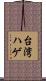 台湾ハゲ Scroll