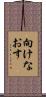 向けなおす Scroll