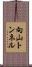 向山トンネル Scroll