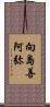 向島善阿弥 Scroll