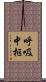 呼吸中枢 Scroll