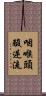 咽喉頭酸逆流 Scroll