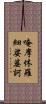 唵摩休羅細娑婆訶 Scroll