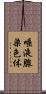唾液腺染色体 Scroll