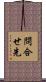 問合せ先 Scroll