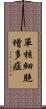 單核細胞增多症 Scroll