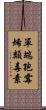 單端孢霉烯類毒素 Scroll