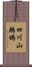 四川山鷓鴣 Scroll