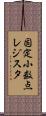 固定小数点レジスタ Scroll