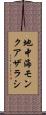 地中海モンクアザラシ Scroll