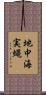 地中海実蝿 Scroll