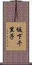 坂下千里子 Scroll