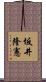 坂井隆憲 Scroll