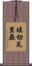 Echevarria Scroll