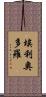 Heliodoro Scroll