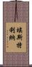 Esterlina Scroll