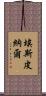 Espinal Scroll