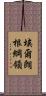 埃爾朗根綱領 Scroll