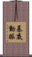 基底動脈 Scroll