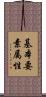 基本要素属性 Scroll