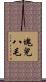 塊兒八毛 Scroll