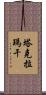塔克拉瑪干 Scroll
