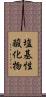 塩基性酸化物 Scroll