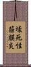 壊死性筋膜炎 Scroll