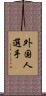 外国人選手 Scroll