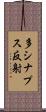 多シナプス反射 Scroll