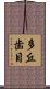 多丘歯目 Scroll