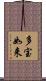 多宝如来 Scroll