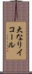大なりイコール Scroll