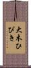 大木ひびき Scroll