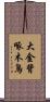 大金背啄木鳥 Scroll
