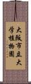 大阪市立大学植物園 Scroll
