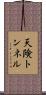 天険トンネル Scroll